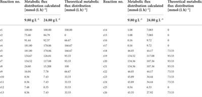 Combined metabolic analyses for the biosynthesis pathway of l-threonine in Escherichia coli